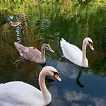 Appartement Atypique Independant Sur Peniche *