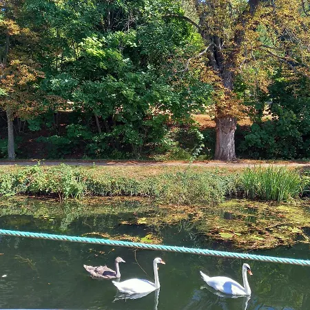 Atypique Indépendant Sur Péniche
