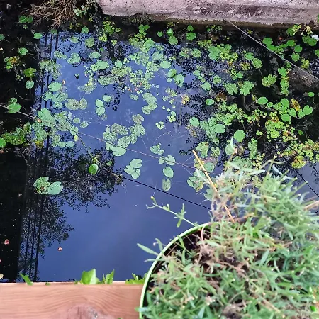 Atypique Indépendant Sur Péniche Apartamento