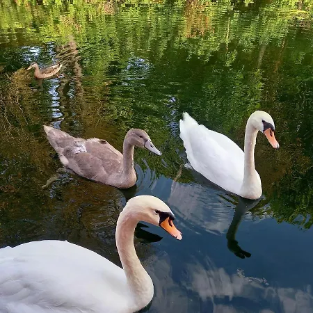 Apartman Atypique Independant Sur Peniche *