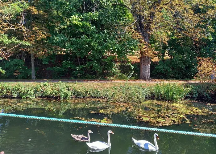 Atypique Indépendant Sur Péniche