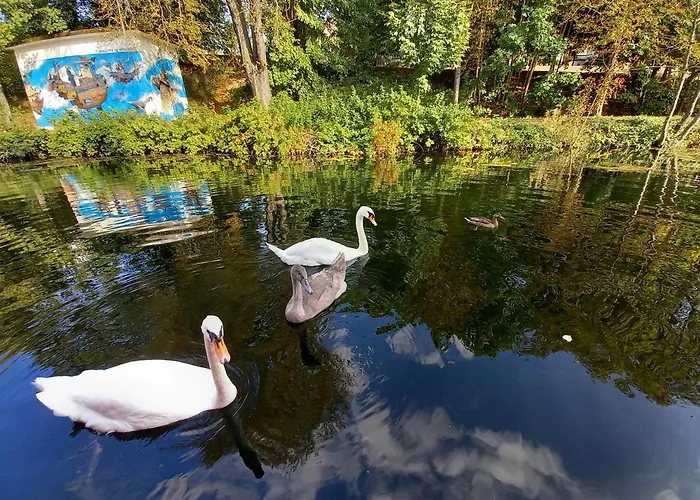 Atypique Independant Sur Peniche