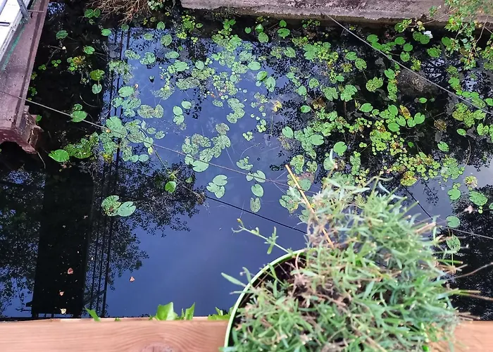 Atypique Independant Sur Peniche Appartement