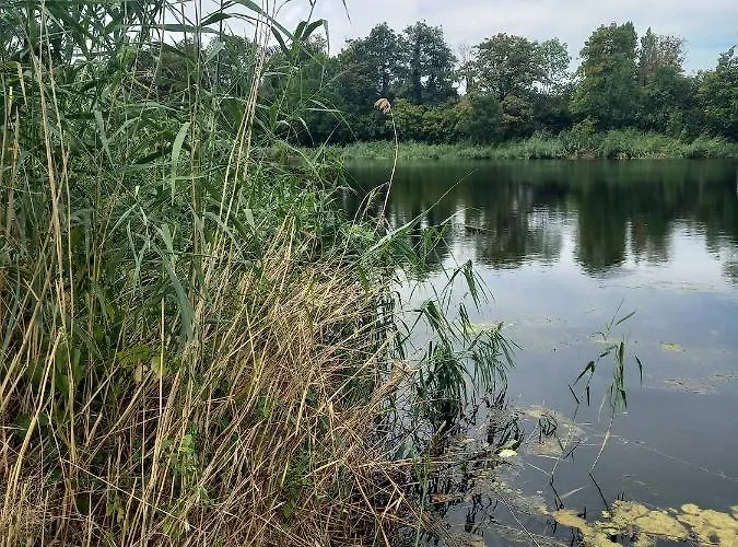 Atypique Indépendant Sur Péniche Appartamento