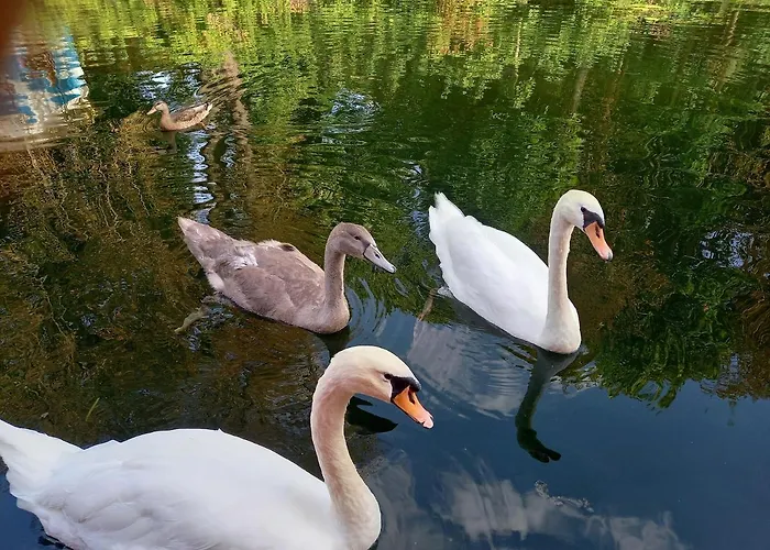 Апартаменты Atypique Independant Sur Peniche *