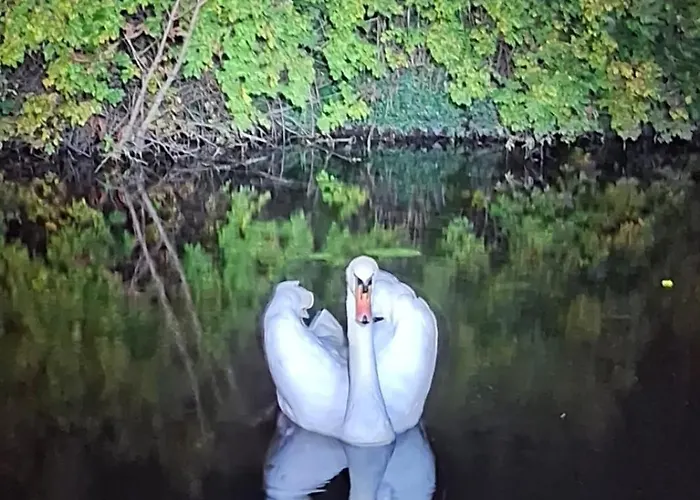 Atypique Independant Sur Peniche Appartement Metz